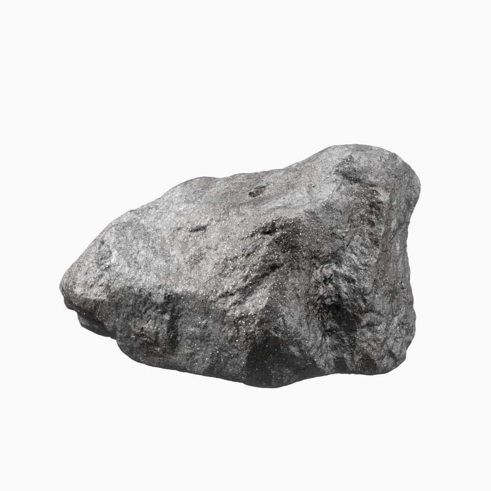 الفيروسيليكون